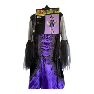Adult Witch Costume